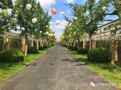 -菊园百果园