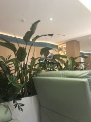 点击看大图 -LIHER北京丽合医疗美容医院