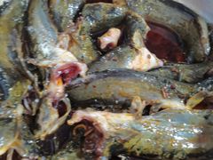 -金海椒罐罐鲢鱼(东方桂苑店)