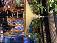 -鱼库·不仅是一家烤鱼店(车公庙店)