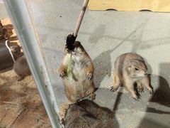 -正佳雨林生态植物园