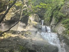 -牛背梁国家森林公园