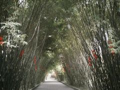 -望江楼公园