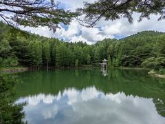 -四明山国家森林公园