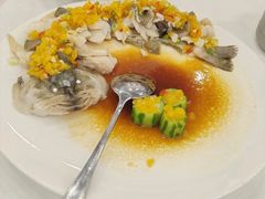 黄椒酱砂锅焗鲈鱼-粤盛海鲜平价店(洛溪食街店)