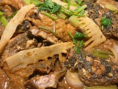 -老板恋上鱼(高新万达店)