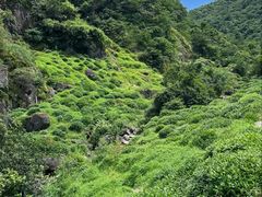 -东白山