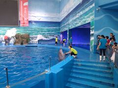 -多彩贵州城极地海洋世界