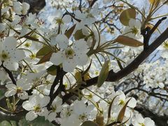 -南开大学(津南校区)