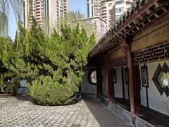-团结湖公园