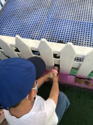 -萌宠亲子动物乐园(槐房万达店)