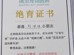 -瑞派动物医院·猫专科·至诚(江南中分院)