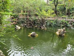 -国恩寺