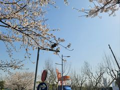 -龙美术馆(西岸馆)