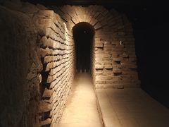 -西安唐皇城墙含光门遗址博物馆