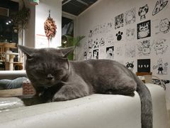 -小时光咖啡馆(开森度假森林店)