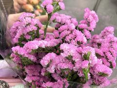 -循礼门鲜花花市(武汉循礼门店)