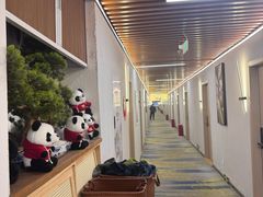 -国宝熊猫酒店(春熙路天府广场店)