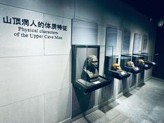 -北京周口店北京人遗址博物馆