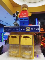 -乐高品牌旗舰店(人民广场店)