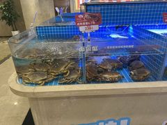-七欣天香辣蟹火锅(苏州相城VIP总店)