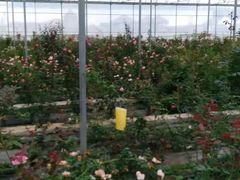 -天源吉布世温泉水乐园