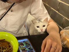 -张记牛肉面馆(天津路店)