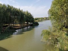 -九里河湿地公园