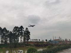 -空港花田景区