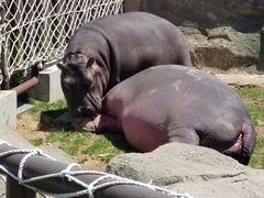 -大连森林动物园