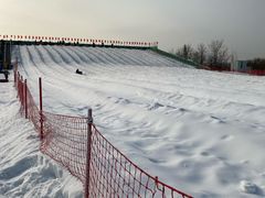 -绿野森林乐园冰雪季