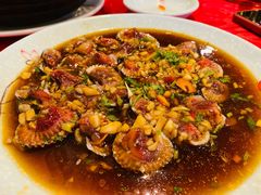生腌血蛤-抱德·潮汕味(敦和店原惠城鱼仔)