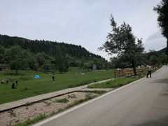 -武陵山森林公园