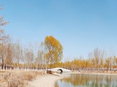 -香山公园