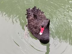 -武汉动物园