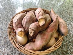-大本营竹筒饭