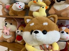 -柴迷FANS CLUB·柴犬狗咖·猫咖