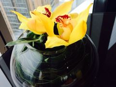 iphone_upload_pic-北京康莱德酒店