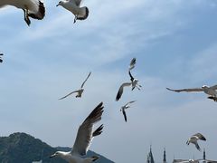 -星海湾跨海大桥
