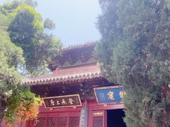 -洛阳白马寺