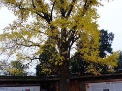 -金堂县云顶石城风景区