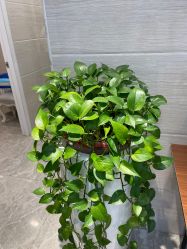 -痘院士专业祛痘皮肤管理