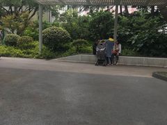 -兰溪青年公园