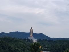 -中原大佛景区