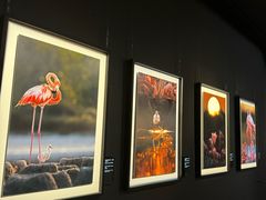 -罗红摄影艺术馆