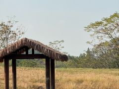 -良渚古城遗址公园
