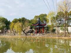 -南汇桃花村