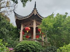 -乌山风景区