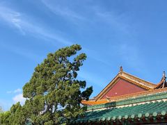 -翠湖公园
