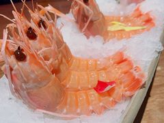-芥末日本料理(打浦路铂尔曼旗舰店)